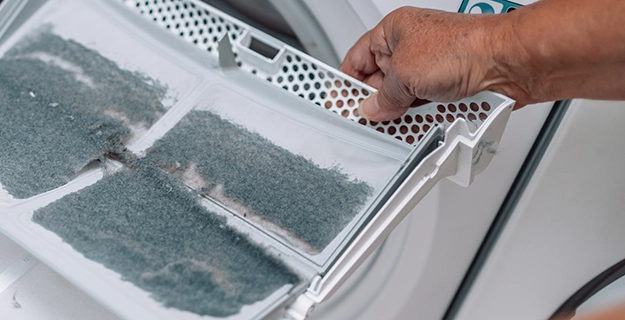 Dust and dirt trapped by the clothes dryer filter.