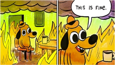 A picture of the this is fine dog meme sitting in a burning room.
